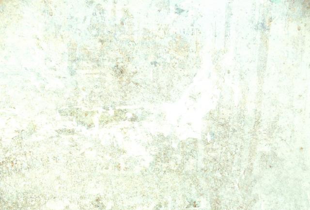 c498d60dd1e87283ab66fa9477ee232c250.jpg