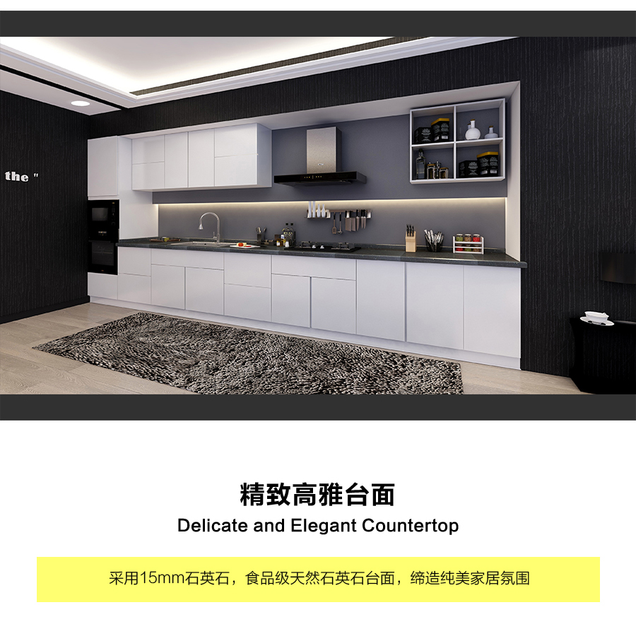 星空梵高定制櫥柜 現(xiàn)代簡約整體定制櫥柜 石英石臺面定制櫥柜 雙飾面-顆?？酒?10定制櫥柜