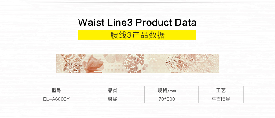 衛(wèi)生間內(nèi)墻磚 金斯敦